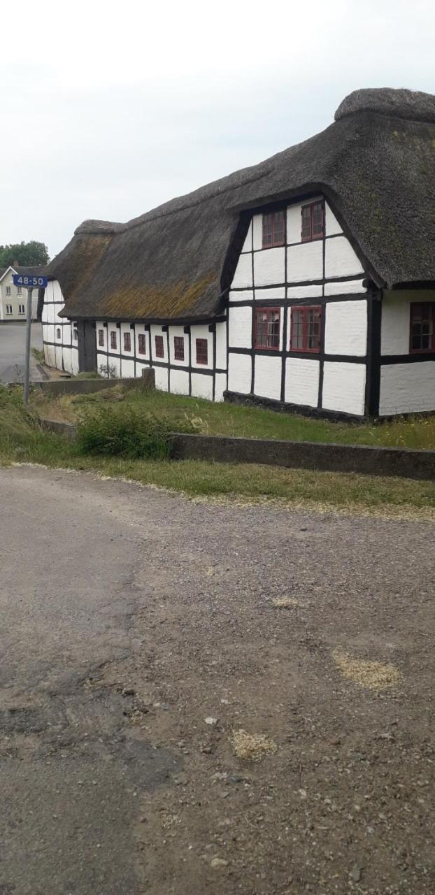 Strandvejen 52, Reersø المظهر الخارجي الصورة